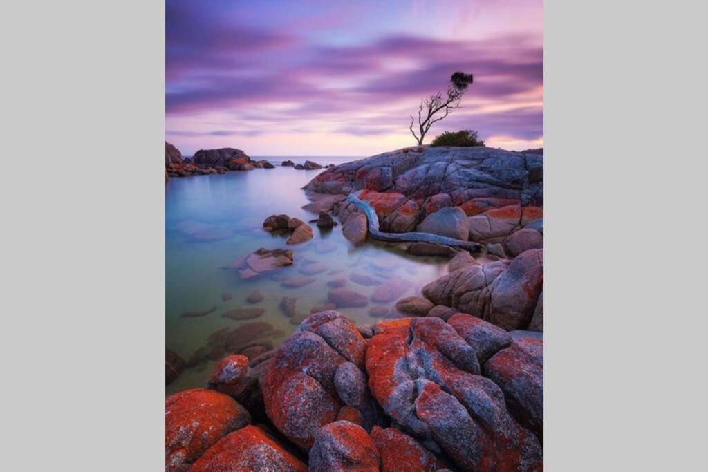 The Tin Shed Couples Accommodation At Bay Of Fires Binalong Bay Eksteriør billede