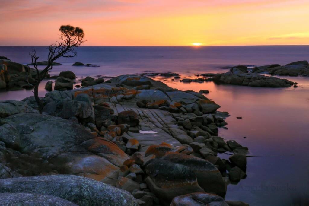 The Tin Shed Couples Accommodation At Bay Of Fires Binalong Bay Eksteriør billede