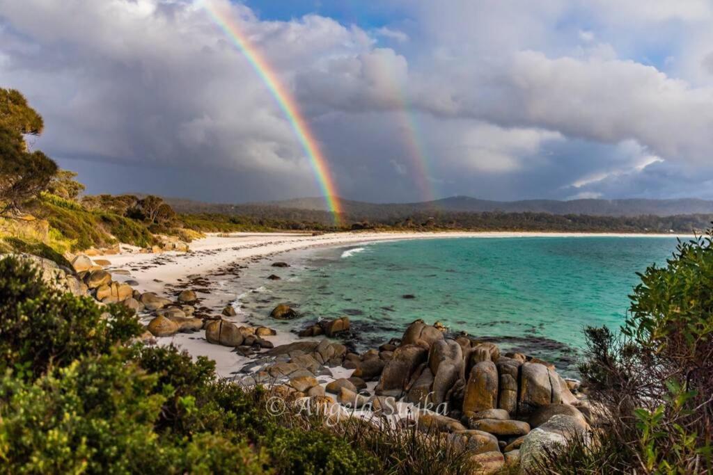 The Tin Shed Couples Accommodation At Bay Of Fires Binalong Bay Eksteriør billede