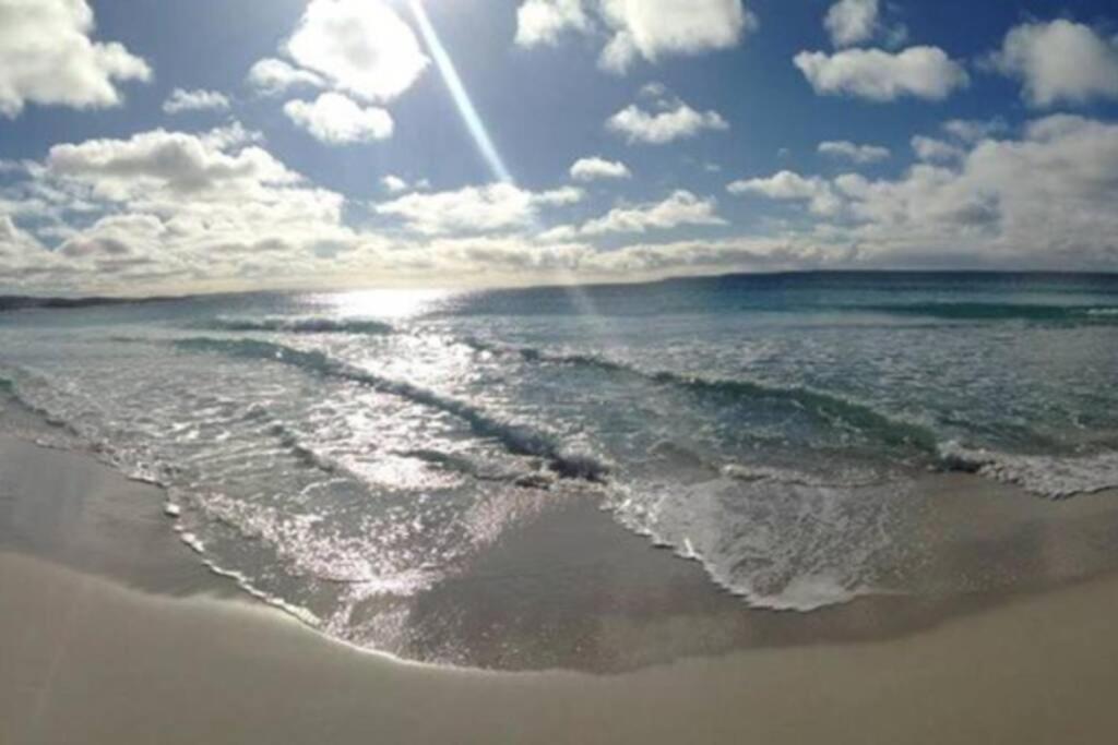 The Tin Shed Couples Accommodation At Bay Of Fires Binalong Bay Eksteriør billede